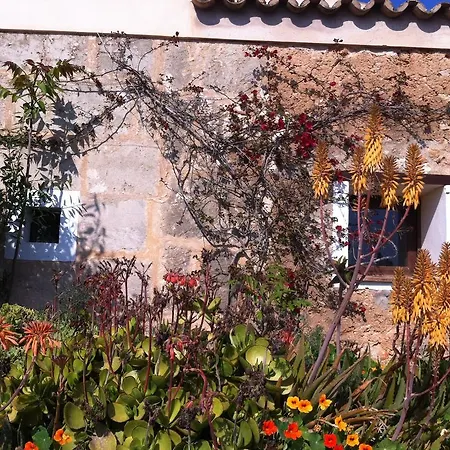 Apartment Libertad Mallorca