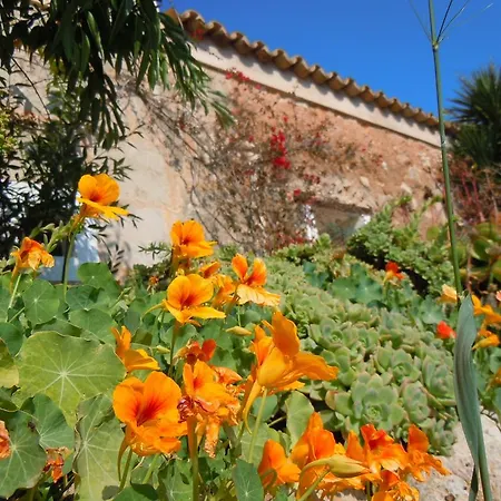 Libertad Mallorca Apartment *