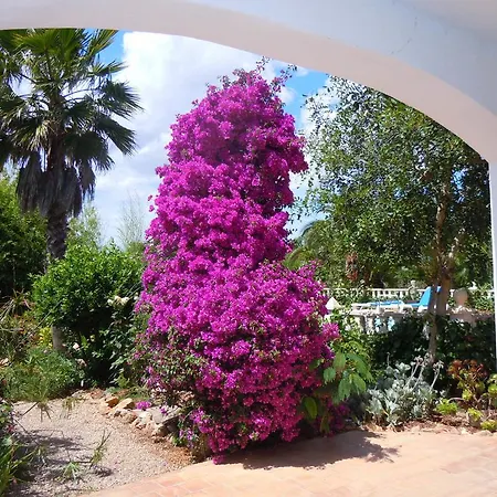 Libertad Mallorca Apartment *