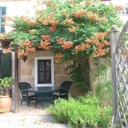 Apartment Libertad Mallorca Campos (Mallorca)