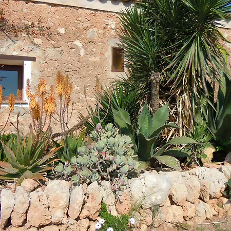 Libertad Mallorca Apartment *