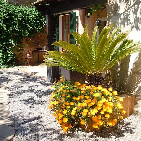 Libertad Mallorca * Campos (Mallorca)
