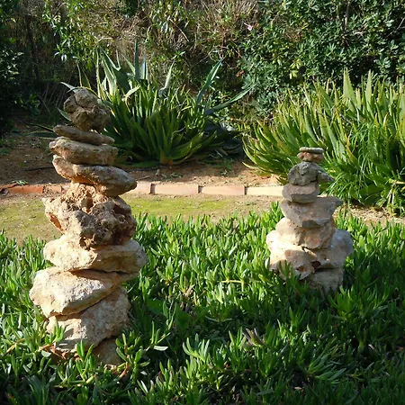 Libertad Mallorca Campos (Mallorca)